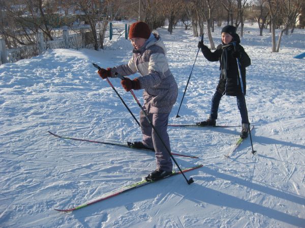 Кленовый лист переходящий в лыжи