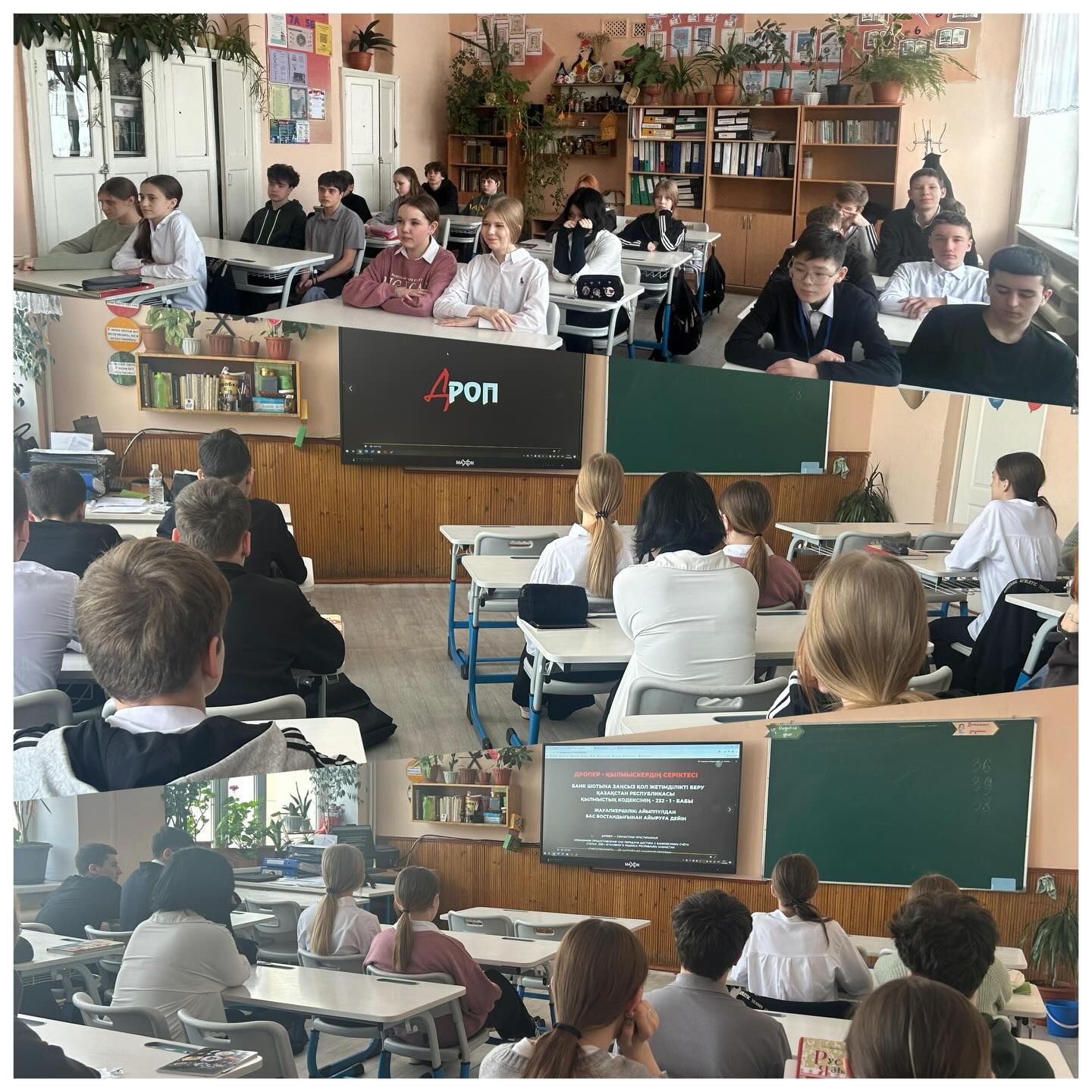 sch50_krg_1770792312_3830005972861755046_13204184636