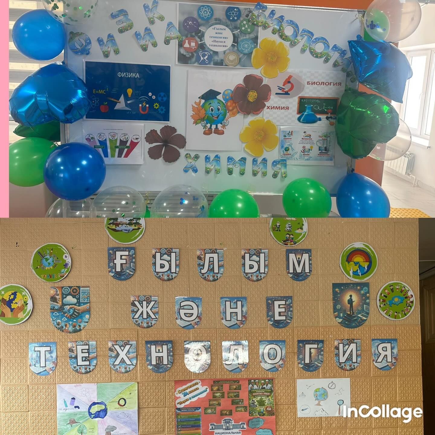 sch50_krg_1771924391_3839502540631479316_13204184636