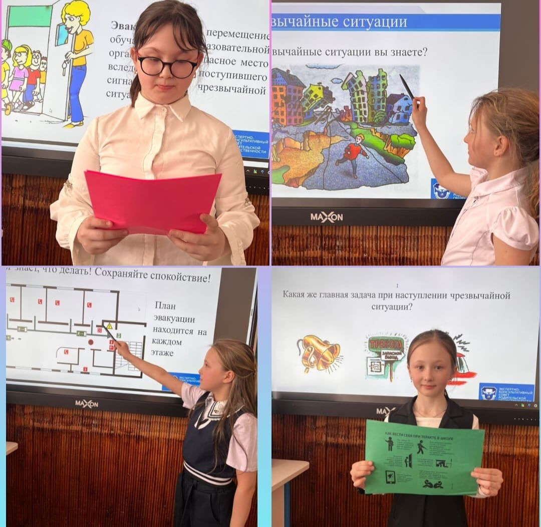 sch50_krg_1772547054_3844725745184933631_13204184636