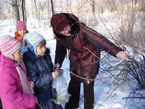 Зимние кормушки для птиц, сделаные своими руками, вешают подопечные Термяковой Натальи Геннадьевны