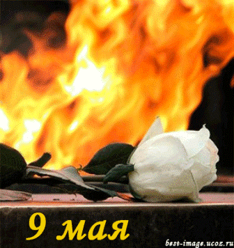 9 мая 3