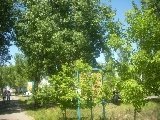 Республиканский Эконоомический лагерь\