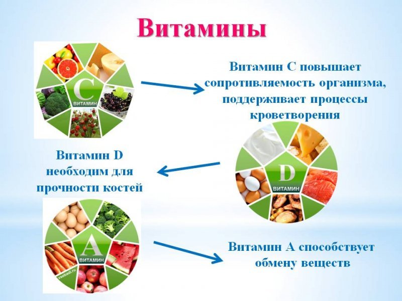 Здоровье проект 9 класс